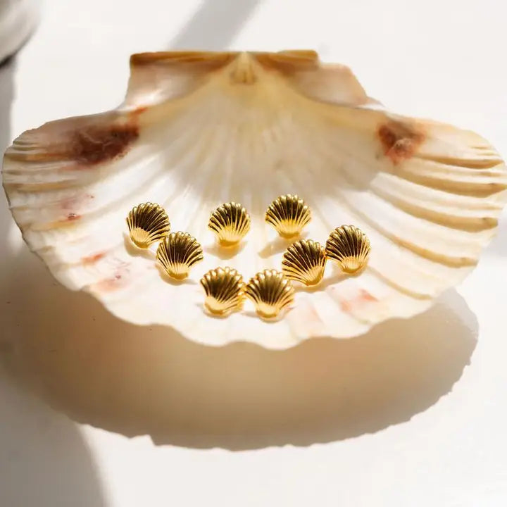 Shell Stud Earrings by Lisi Lerch image 0